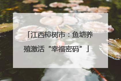 江西樟树市：鱼塘养殖激活“幸福密码”