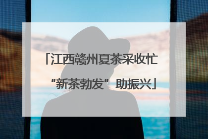 江西赣州夏茶采收忙 “新茶勃发”助振兴