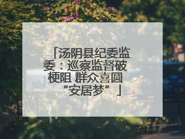 汤阴县纪委监委：巡察监督破梗阻 群众喜圆“安居梦”