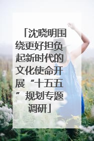 沈晓明围绕更好担负起新时代的文化使命开展“十五五”规划专题调研