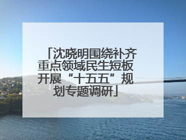 沈晓明围绕补齐重点领域民生短板开展“十五五”规划专题调研