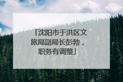 沈阳市于洪区文旅局副局长彭勃，职务有调整