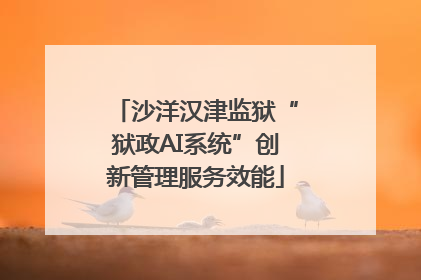 沙洋汉津监狱“狱政AI系统”创新管理服务效能