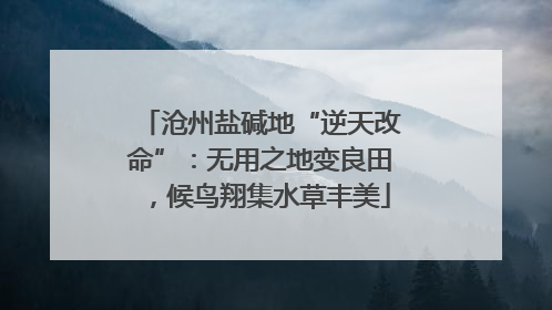 沧州盐碱地“逆天改命”：无用之地变良田，候鸟翔集水草丰美