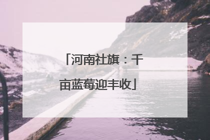 河南社旗：千亩蓝莓迎丰收