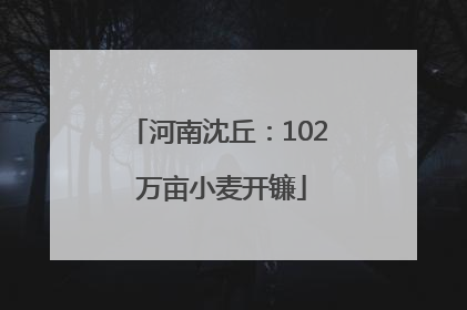 河南沈丘：102 万亩小麦开镰