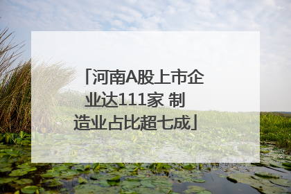 河南A股上市企业达111家 制造业占比超七成