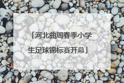 河北曲周春季小学生足球锦标赛开幕
