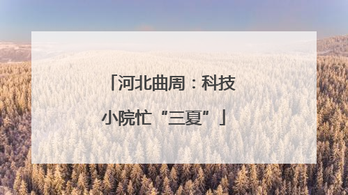 河北曲周：科技小院忙“三夏”