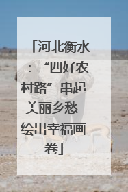 河北衡水：“四好农村路”串起美丽乡愁 绘出幸福画卷