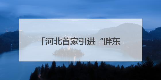 河北首家引进“胖东来”理念的超市开业 “+胖东来”，传统商超能否成功突围？