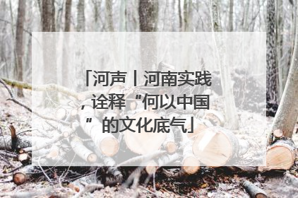 河声丨河南实践，诠释“何以中国”的文化底气