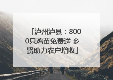 泸州泸县：8000只鸡苗免费送 乡贤助力农户增收