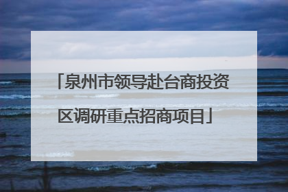 泉州市领导赴台商投资区调研重点招商项目