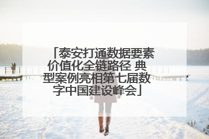 泰安打通数据要素价值化全链路径 典型案例亮相第七届数字中国建设峰会