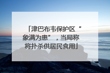 津巴布韦保护区“象满为患”，当局称将扑杀供居民食用