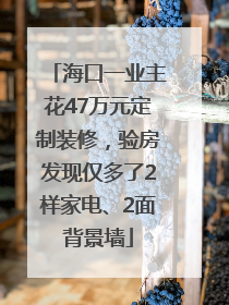 海口一业主花47万元定制装修，验房发现仅多了2样家电、2面背景墙