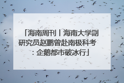 海南周刊丨海南大学副研究员赵鹏曾赴南极科考：企鹅都市破冰行