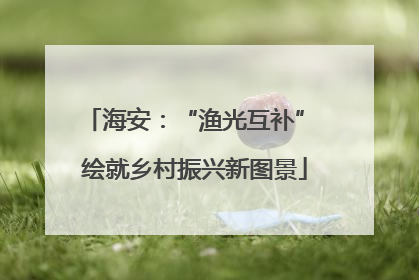 海安：“渔光互补” 绘就乡村振兴新图景