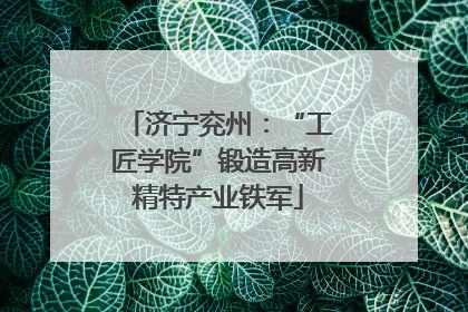 济宁兖州：“工匠学院”锻造高新精特产业铁军