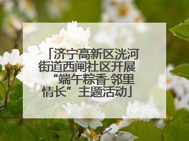 济宁高新区洸河街道西闸社区开展“端午粽香·邻里情长”主题活动