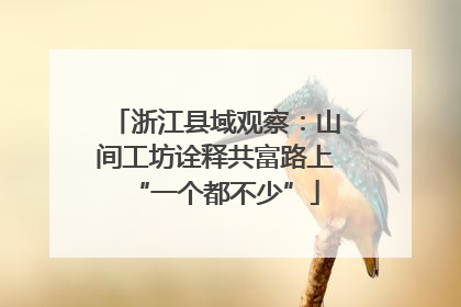 浙江县域观察：山间工坊诠释共富路上“一个都不少”