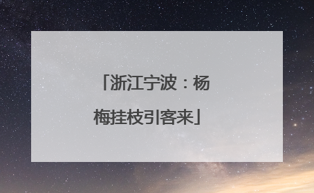 浙江宁波：杨梅挂枝引客来