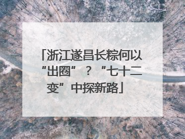 浙江遂昌长粽何以“出圈”？“七十二变”中探新路