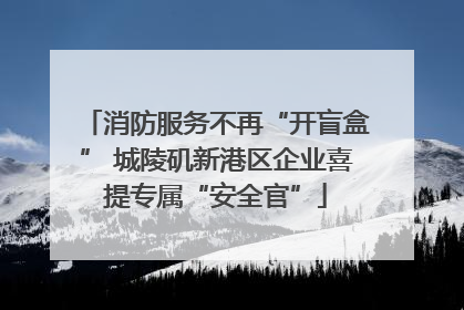 消防服务不再“开盲盒” 城陵矶新港区企业喜提专属“安全官”