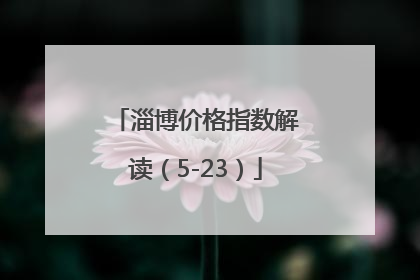 淄博价格指数解读（5-23）
