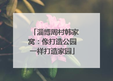 淄博周村韩家窝：像打造公园一样打造家园