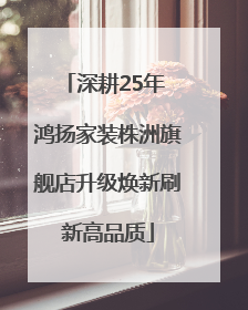 深耕25年 鸿扬家装株洲旗舰店升级焕新刷新高品质