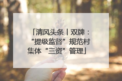清风头条丨双牌：“提级监督”规范村集体“三资”管理