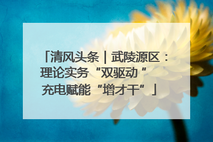 清风头条｜武陵源区：理论实务“双驱动 ” 充电赋能“增才干”