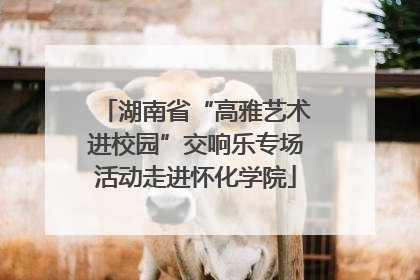 湖南省“高雅艺术进校园”交响乐专场活动走进怀化学院