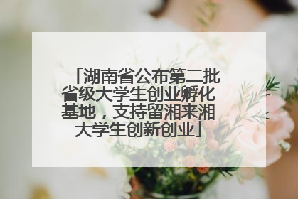 湖南省公布第二批省级大学生创业孵化基地，支持留湘来湘大学生创新创业