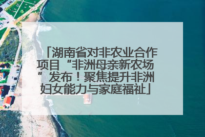 湖南省对非农业合作项目“非洲母亲新农场”发布！聚焦提升非洲妇女能力与家庭福祉