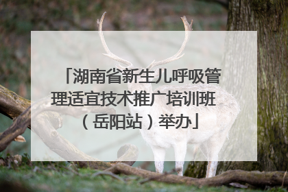 湖南省新生儿呼吸管理适宜技术推广培训班（岳阳站）举办