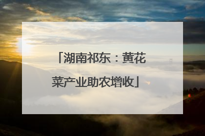 湖南祁东：黄花菜产业助农增收