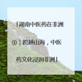 湖南中医药在非洲③｜跨越山海，中医药文化浸润非洲