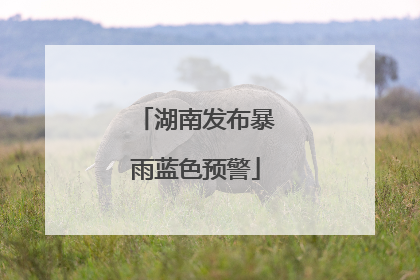 湖南发布暴雨蓝色预警