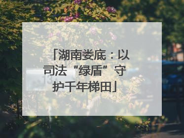 湖南娄底：以司法“绿盾”守护千年梯田
