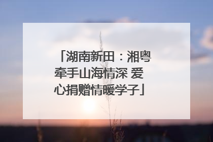 湖南新田：湘粤牵手山海情深 爱心捐赠情暖学子