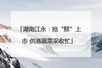 湖南江永：抢“鲜”上市 供港蔬菜采收忙