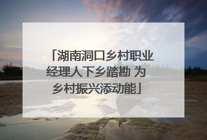 湖南洞口乡村职业经理人下乡踏勘 为乡村振兴添动能