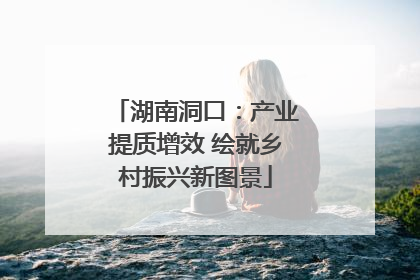 湖南洞口：产业提质增效 绘就乡村振兴新图景
