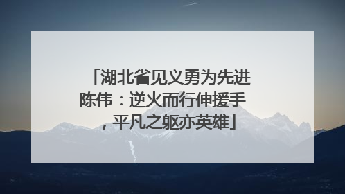 湖北省见义勇为先进陈伟：逆火而行伸援手，平凡之躯亦英雄