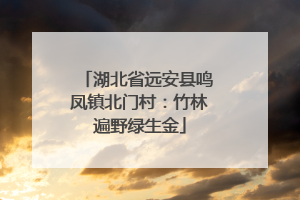 湖北省远安县鸣凤镇北门村：竹林遍野绿生金