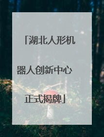 湖北人形机器人创新中心正式揭牌