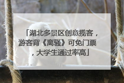 湖北多景区创意揽客，游客背《离骚》可免门票，大学生通过率高